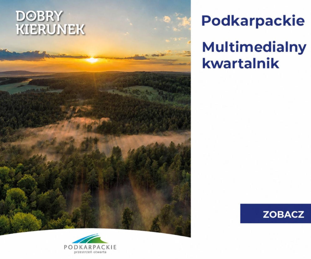 Las o zachodzie słońca i grafika promująca e-kwartalnik o regionie. Więcej o Podkarpaciu przeczytasz na Eska Rzeszów.