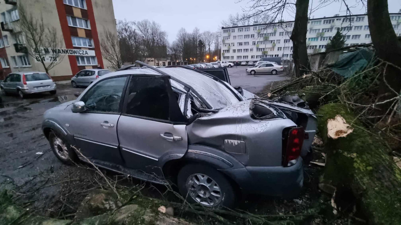 Powalone drzewa uszkodziły zaparkowane samochody