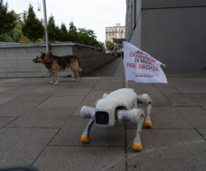 Niewiarygodne sceny. Roboty krzyczą w Warszawie, a minister alarmuje: mamy się czego obawiać!