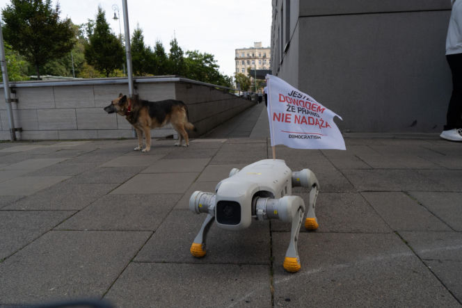 Niewiarygodne sceny. Roboty "krzyczą" w Warszawie, a minister alarmuje: "mamy się czego obawiać!"
