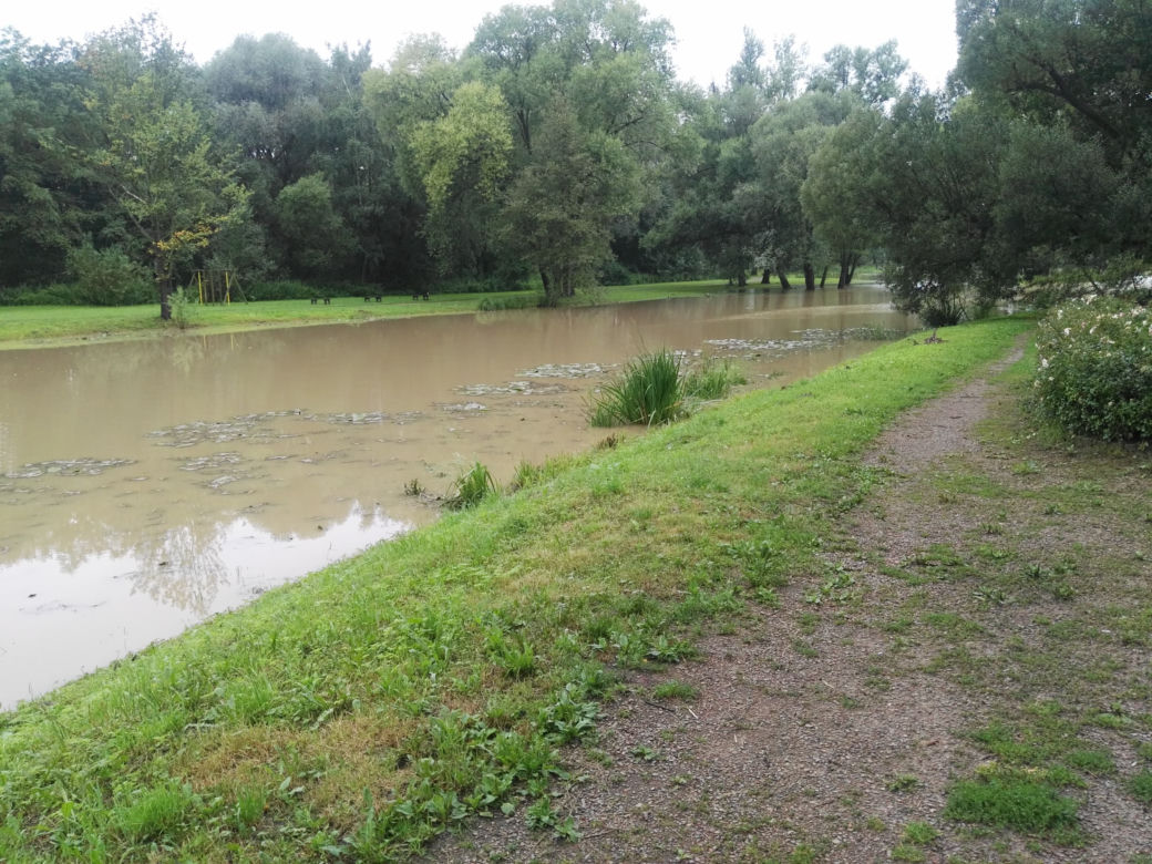 Zalany park w Skawinie