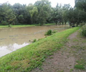Zalany park w Skawinie