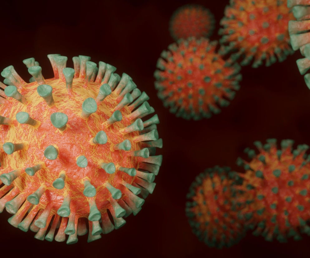koronawirus coronavirus pixabay