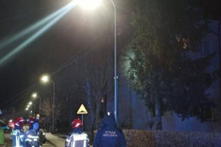 Kot utknął wysoko na drzewie. Spektakularna akcja służb w Ostrowie!