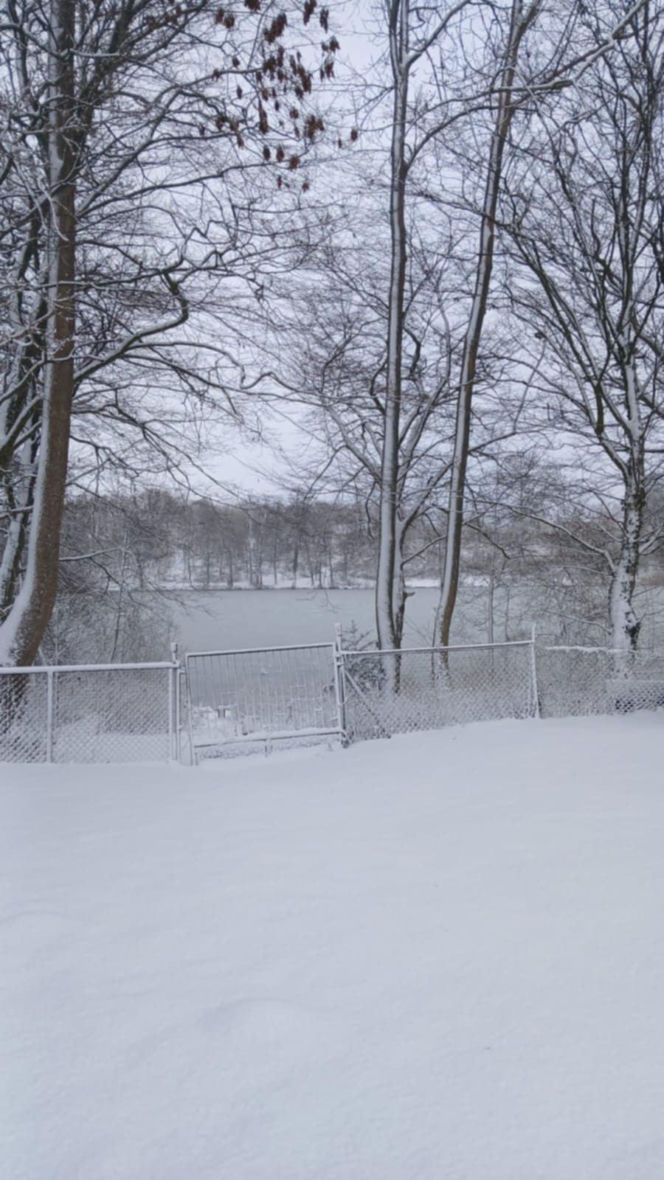 Atak zimy na wybrzeżu. Burze śnieżne, zasypane drogi i alerty IMGW