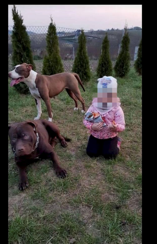 Nie usypiajcie Katalai