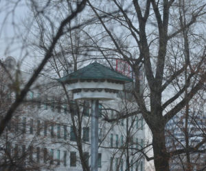 Na to wydali 50 tys. zł z budżetu obywatelskiego