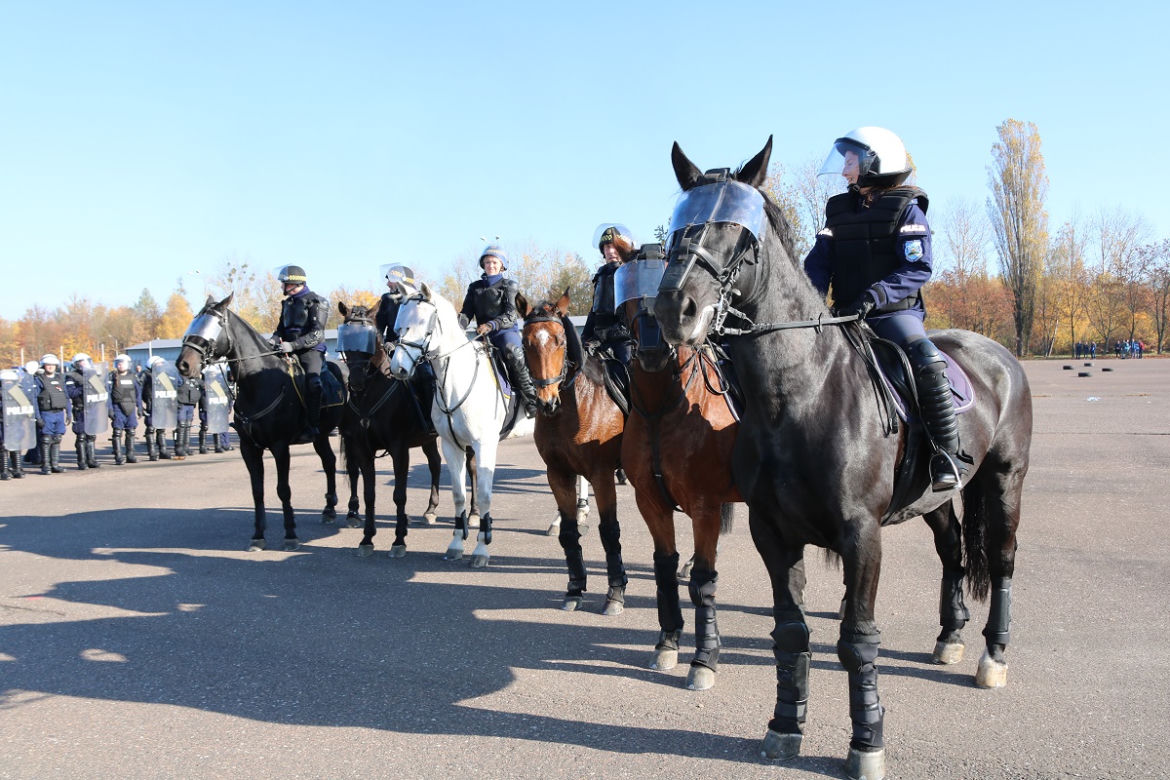 Atestacja koni służących w łódzkiej policji i straży miejskiej