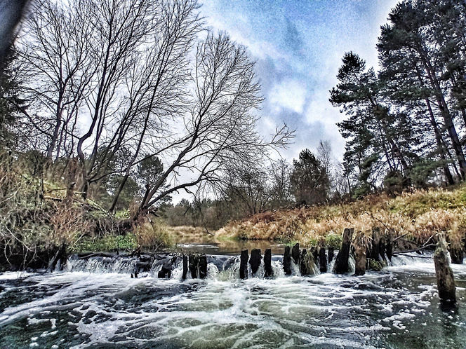 Dzień Wiedźmy z grupą Mors może więcej