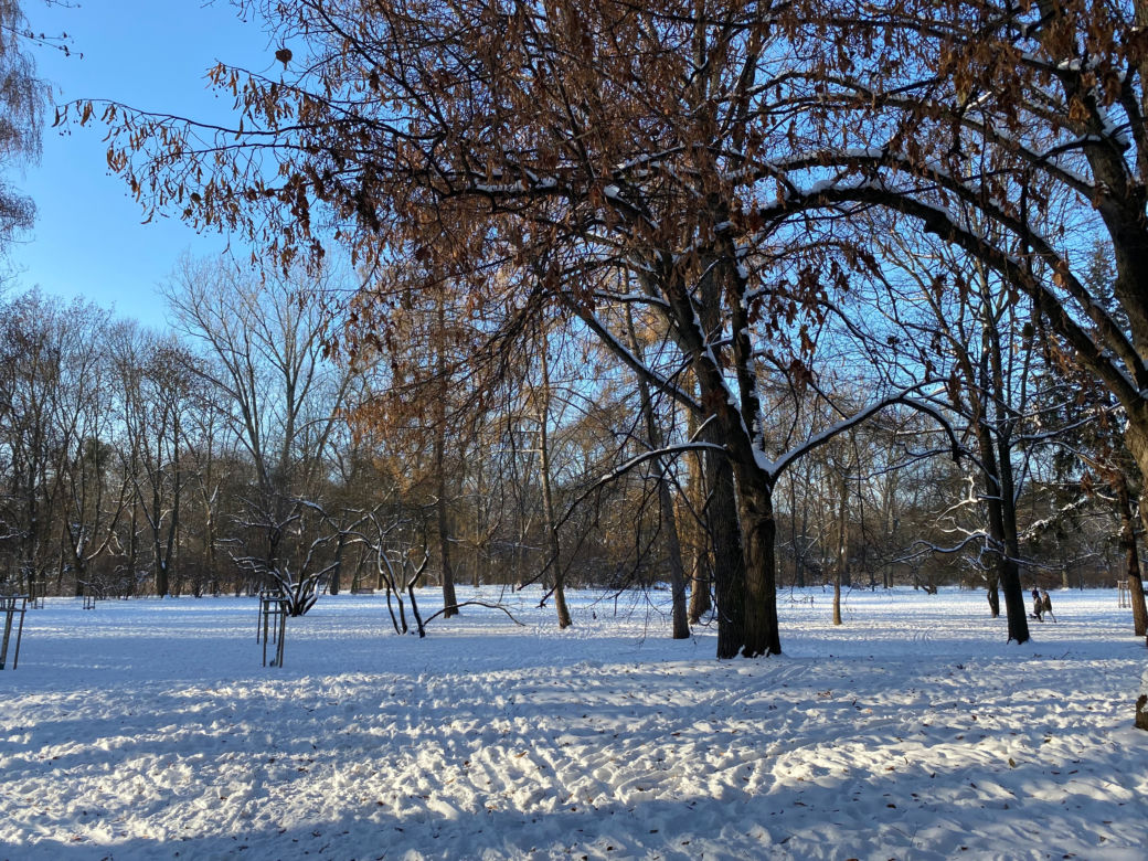 Śnieżna zima w Parku Praskim