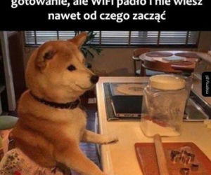 Święta Bożego Narodzenia. Te MEMY przed świętami rozbawią Was do łez! [MEMY]