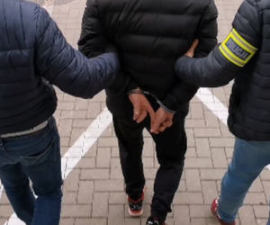 Białystok. Co za okrucieństwo! Syn zabił psa swojej matki?