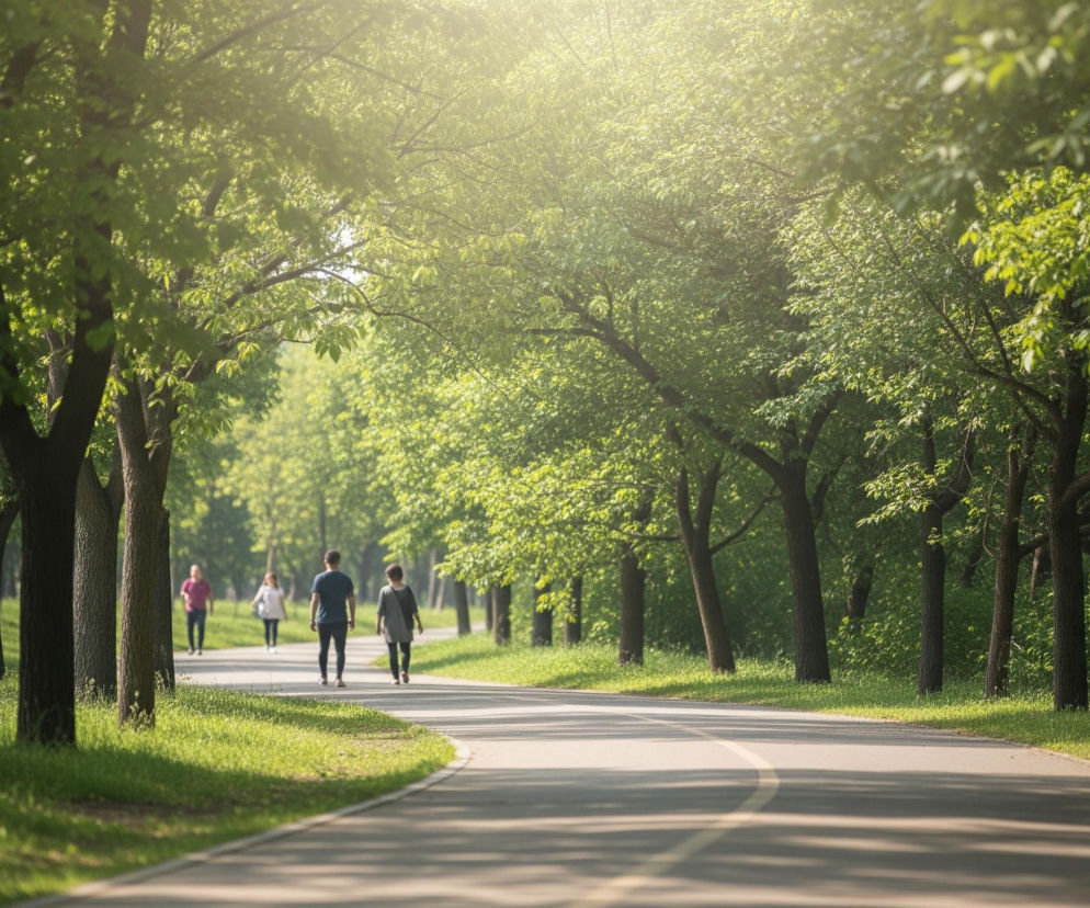 Kręta, szara asfaltowa droga z żółtą linią ciągłą na środku przebiega przez bujny park, otoczony z obu stron drzewami o ciemnych pniach i jasnozielonych liściach. Promienie słońca przenikają przez korony drzew, tworząc jasne plamy światła i długie cienie na drodze. W oddali, na ścieżce, widać cztery niewyraźne sylwetki ludzi, idących w tym samym kierunku.