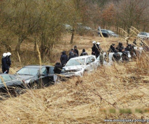 Wielka ustawka pod Wrocławiem! Pseudokibice tłumaczyli, że szli na grzyby 