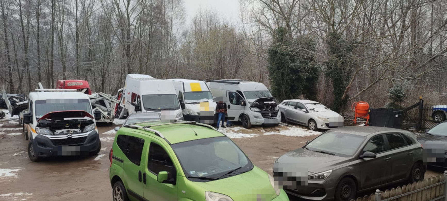 Gigantyczna dziupla pod Warszawą. Na gorącym uczynku złapano 48-letniego pasera