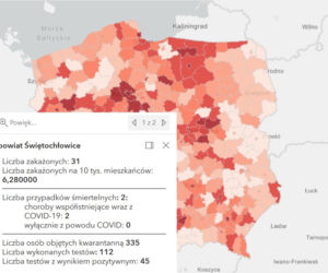 Koronawirus w województwie śląskim. Tak wygląda sytuacja w poszczególnych powiatach [RAPORT, 19 MARCA]
