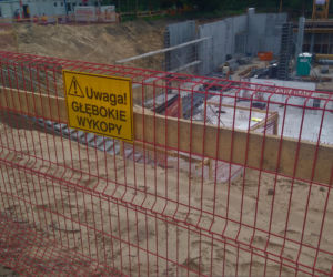 Centrum Medycyny Weterynaryjnej rusza z kopyta. Wmurowano akt erekcyjny [AUDIO, ZDJĘCIA]