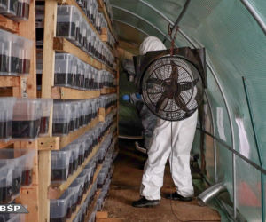 Laboratorium klofedronu pod Warszawą. Ponad 1,5 tony narkotyków i 82 mln złotych
