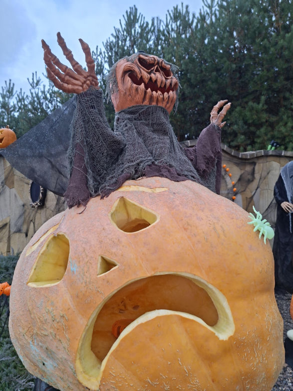 Oto najbardziej halloweenowy dom w Świętokrzyskiem!