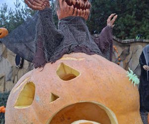 Oto najbardziej halloweenowy dom w Świętokrzyskiem!