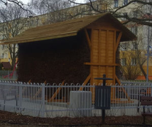 Tężnie w Toruniu rosną jak po deszczu