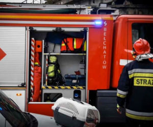 Niecodzienna akcja ratunkowa! Straż pożarna ściągała z wiaduktu… KOTA! 