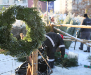 Sprzedaż choinek