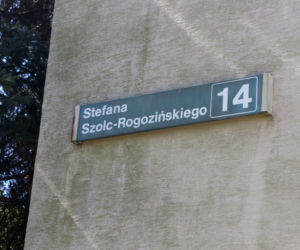 „Kule świszczą nam nad głowami”. Wariat strzela do samochodów