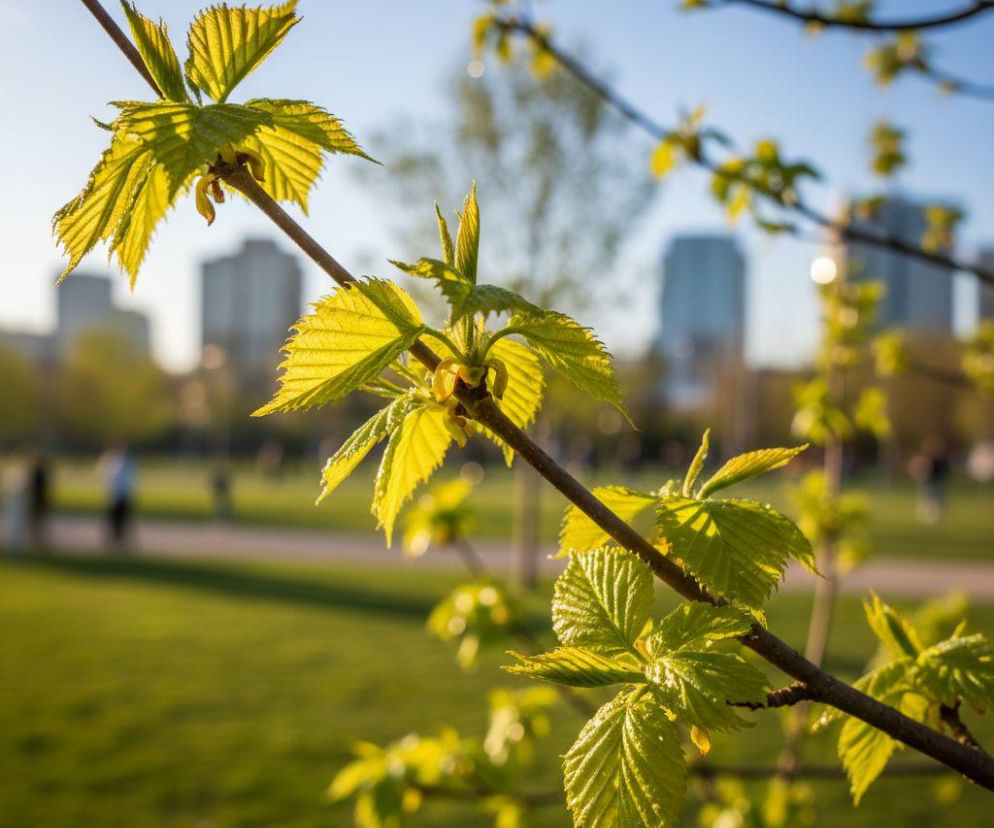 AI zdjęcie do artykułu