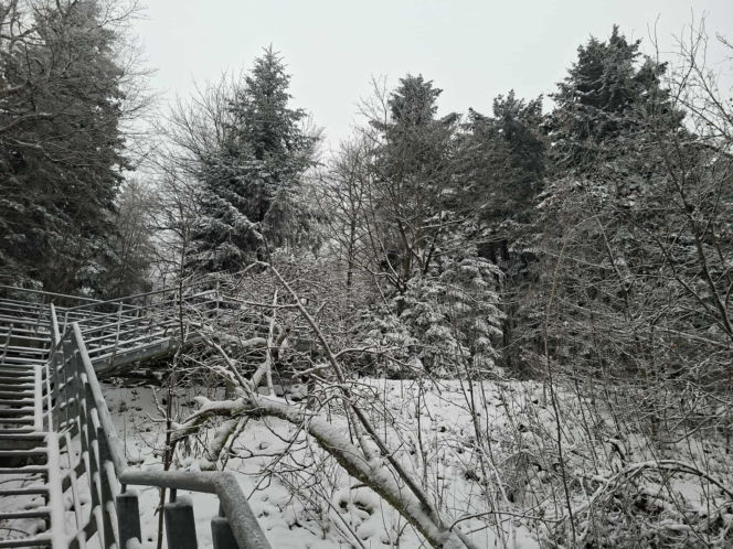 Majestatycznie, zimowo, jak w bajkowej Narnii. Tak Nowy Rok wita Święty Krzyż