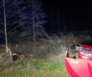Tragedia pod Puławami. Troje nastolatków zginęło w wypadku. Nie mieli najmniejszych szans