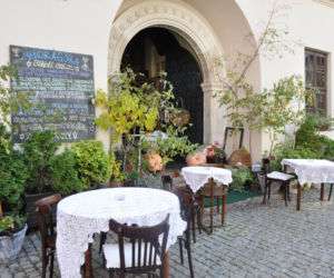 Mandragora, Rynek