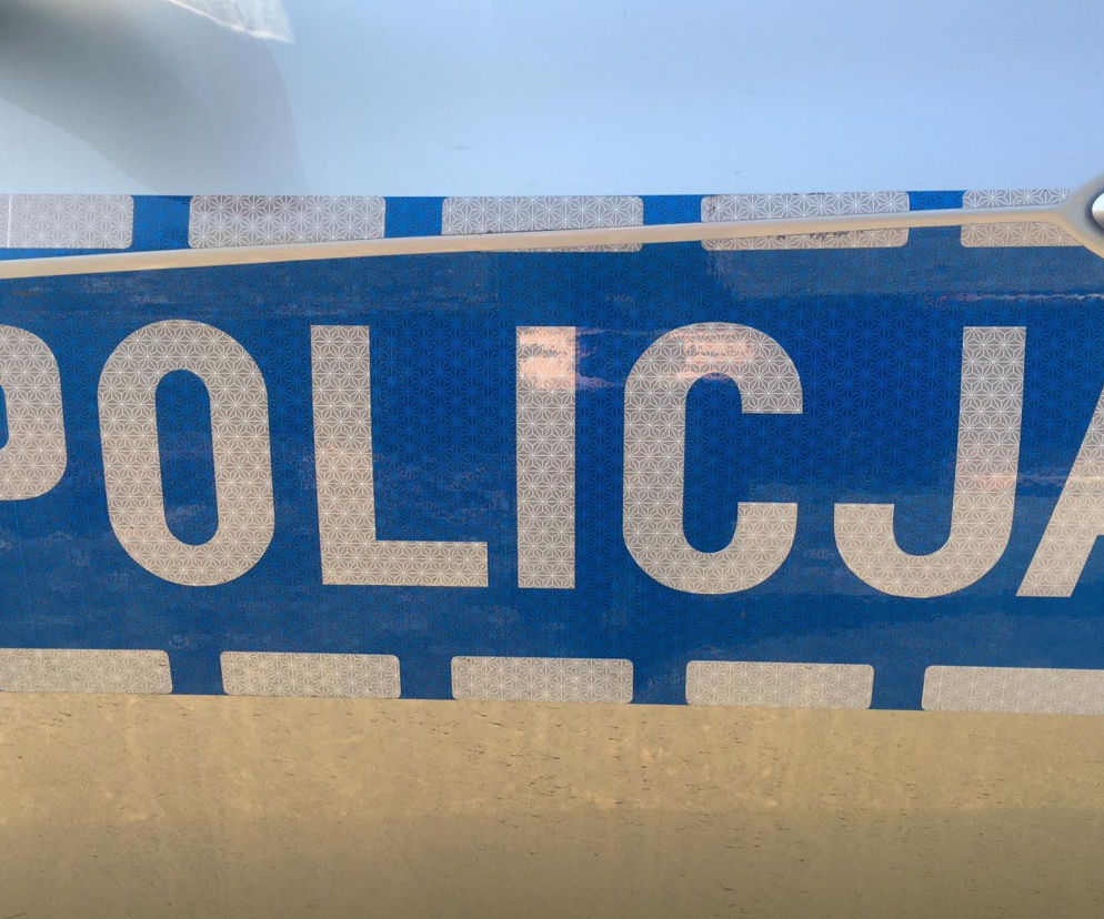 policja