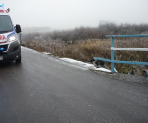 Małopolska. Samochód spadł z mostu i dachował przy rzece. Dziecko trafiło do szpitala