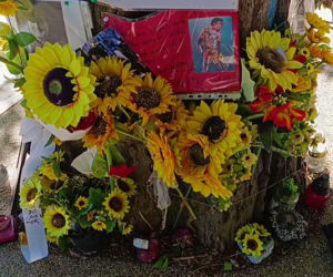 Drzewo pamięci Michaela Jacksona w Budapeszcie