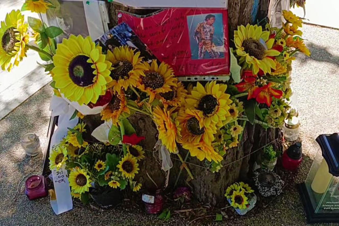 Drzewo pamięci Michaela Jacksona w Budapeszcie