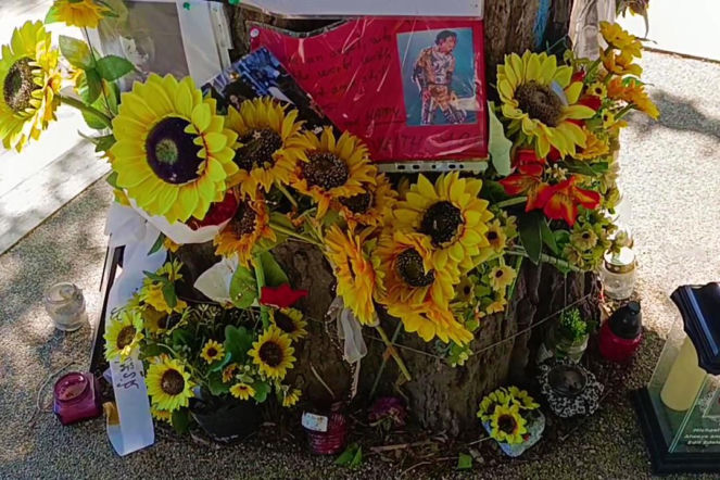 Drzewo pamięci Michaela Jacksona w Budapeszcie