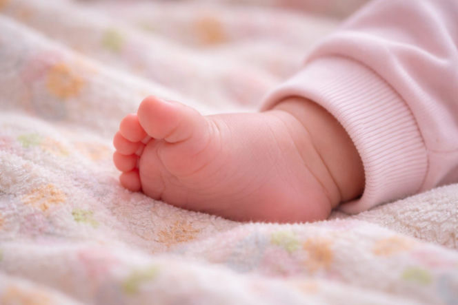 Róża i Lilia – kwiatowe, pełne wdzięku.