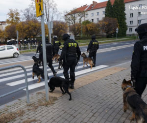 Mecz podwyższonego ryzyka w Bielsku-Białej