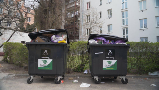 „Cały Grochów w szczurach!”. Mieszkańcy prawobrzeżnej Warszawy ponownie toną we własnych śmieciach