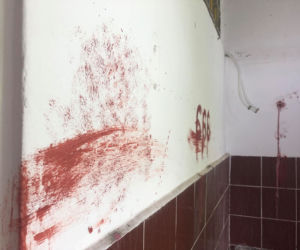 Scena jak z horroru w Sobótce! Martwy kot w wannie i mnóstwo krwi!