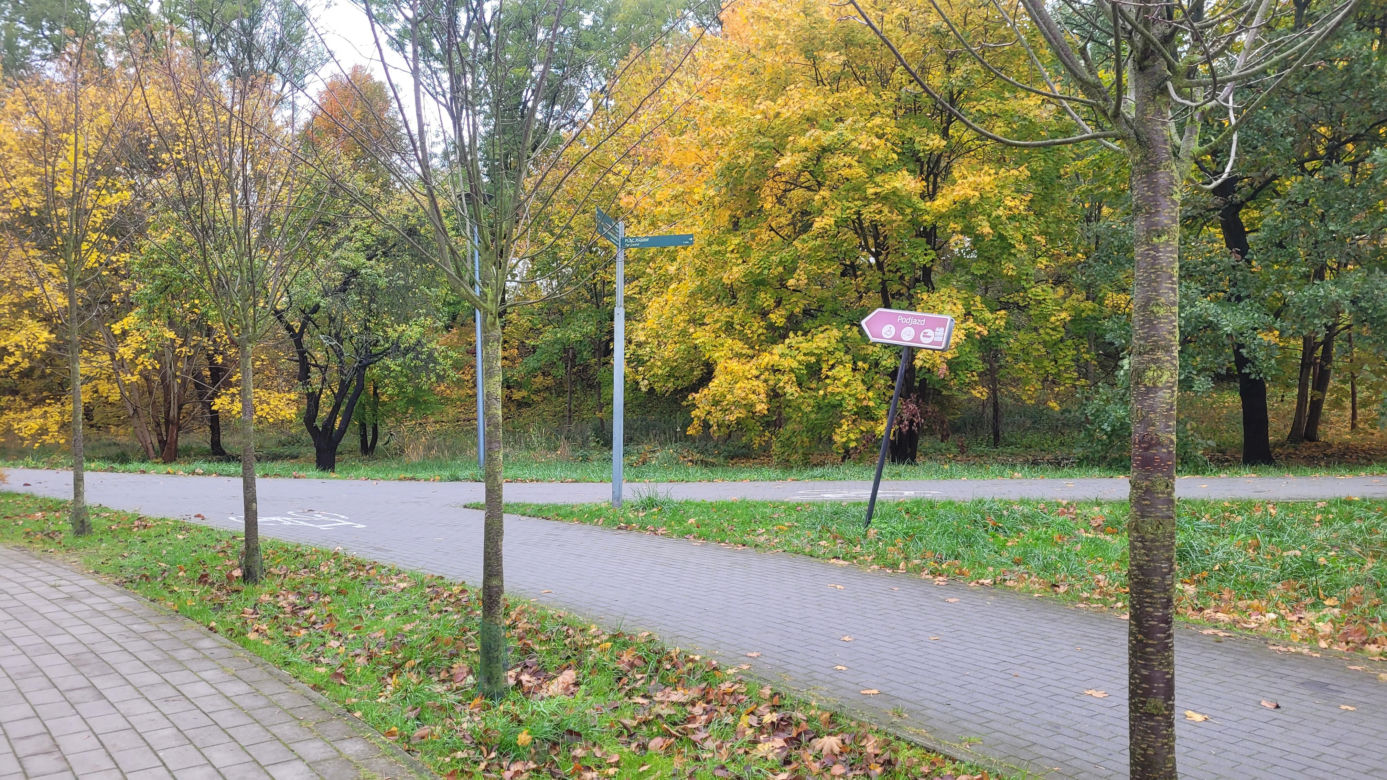 To najlepszy park w Olsztynie na jesienny spacer. Wyboru dokonała sztuczna inteligencja