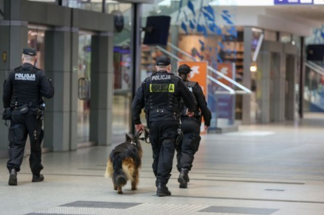 policja, pies tropiący, policjanci