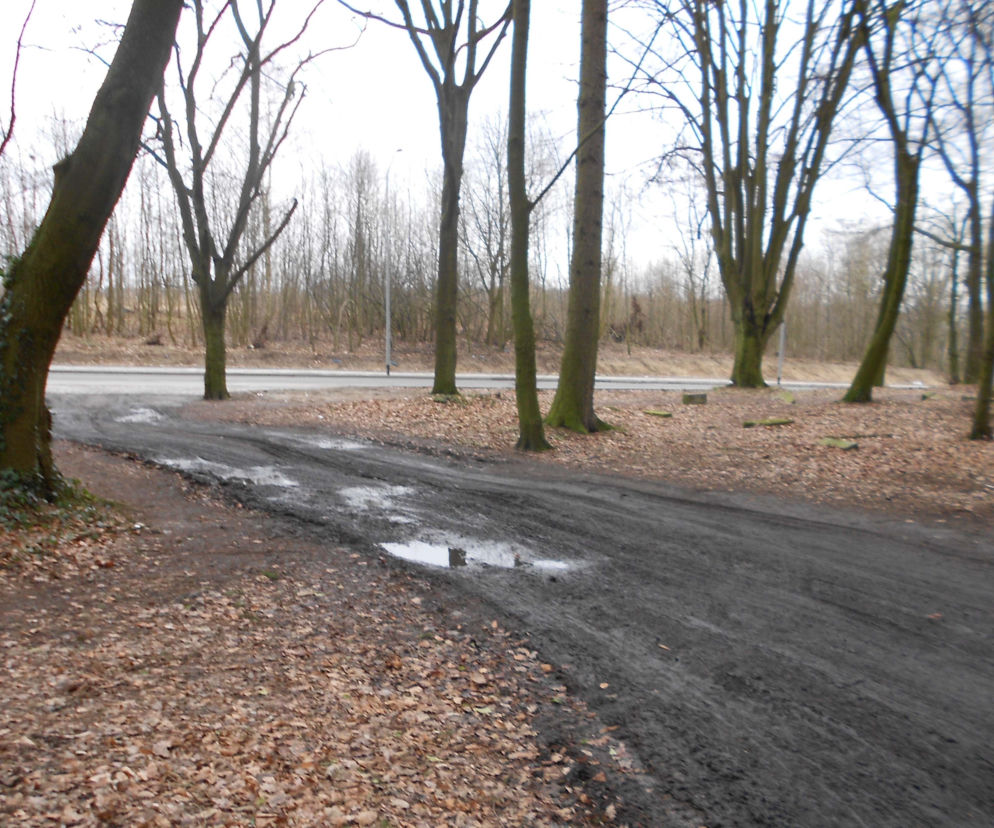 Zaniedbany stary cmentarz przy ul. Ostrowskiej zmienia się w piękny park