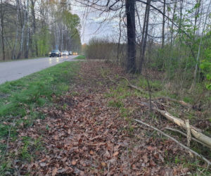 Śmierć posła Łukasza Litewki. Ujawniono przyczynę zgonu