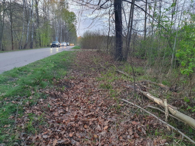 Śmierć posła Łukasza Litewki. Ujawniono przyczynę zgonu