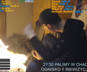 Pato-streaming