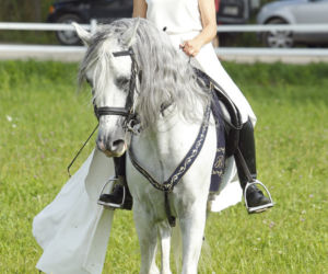 Kinga Rusin