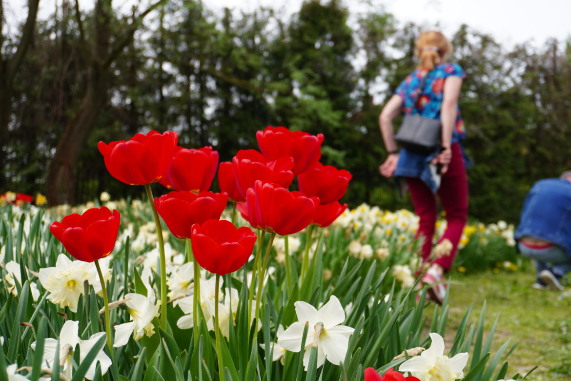 Ogród Botaniczny w Lublinie