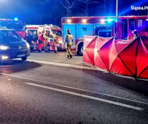 Tragedia na DK88 w Gliwicach. Nastolatek wbiegł wprost pod maskę pędzącego samochodu [ZDJĘCIA]